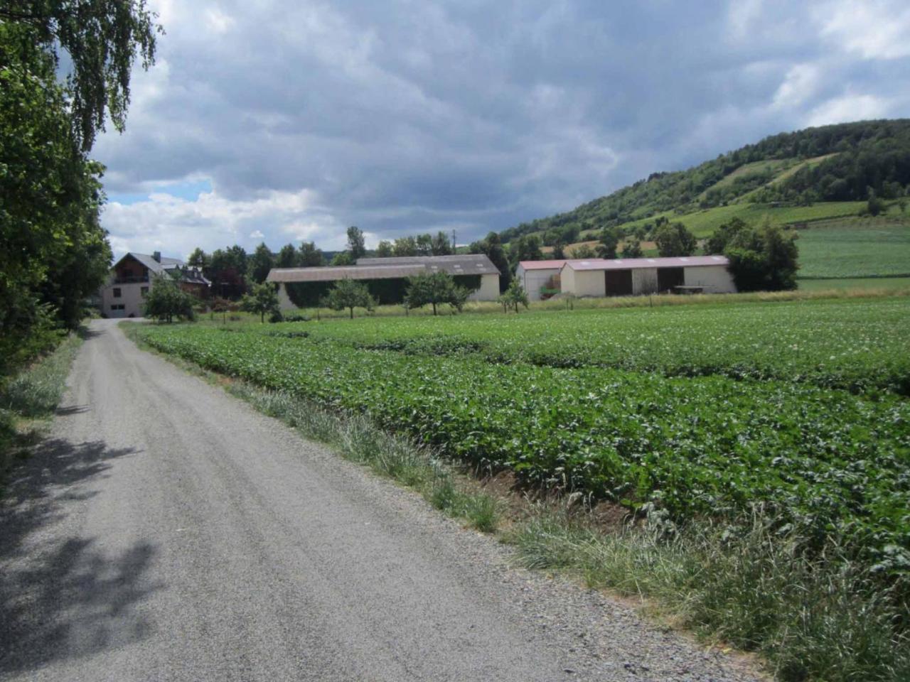 Ferienwohnungen Maintal Karlstadt Esterno foto